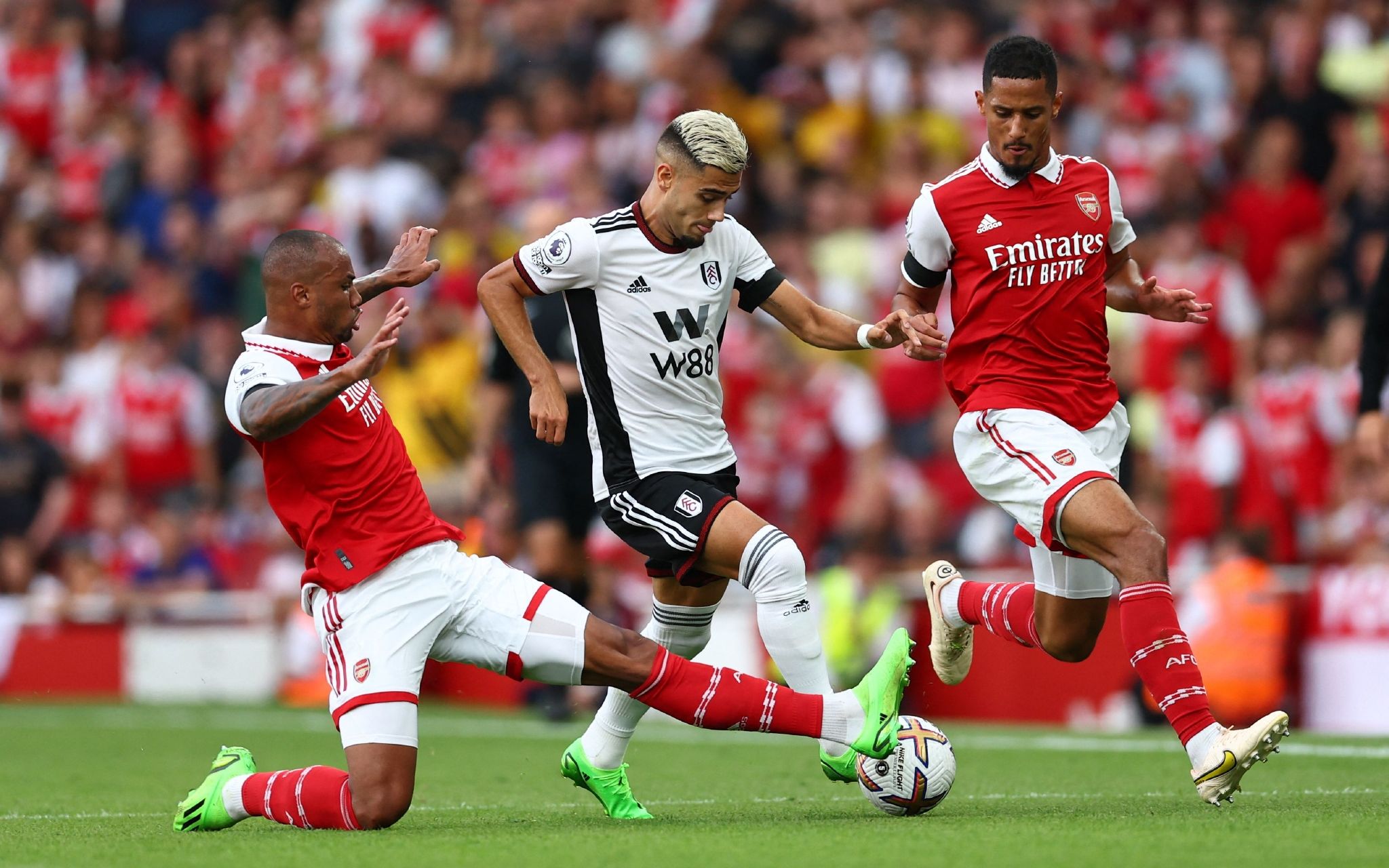 生在比赛关 生在比赛关